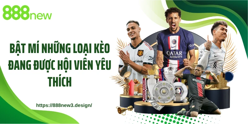 Bật mí những loại kèo đang được hội viên yêu thích