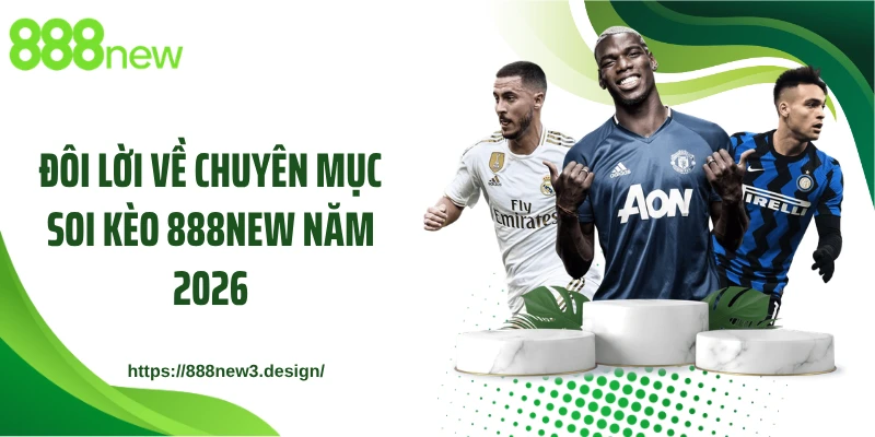 Đôi lời về chuyên mục soi kèo 888NEW năm 2026