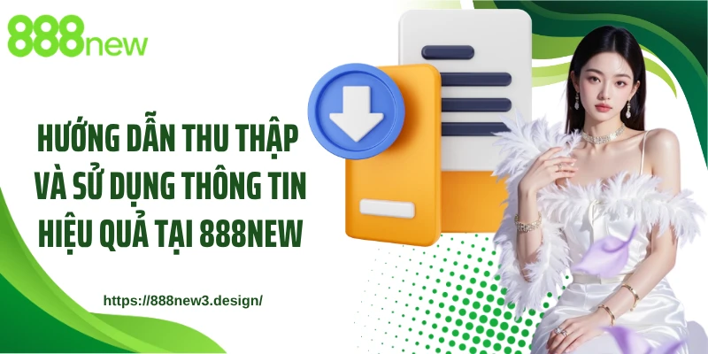 Hướng dẫn thu thập và sử dụng thông tin hiệu quả tại 888NEW