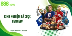 Kinh Nghiệm Cá Cược 888NEW: Kỹ Thuật Đọc Vị Bảng Kèo Mới Nhất
